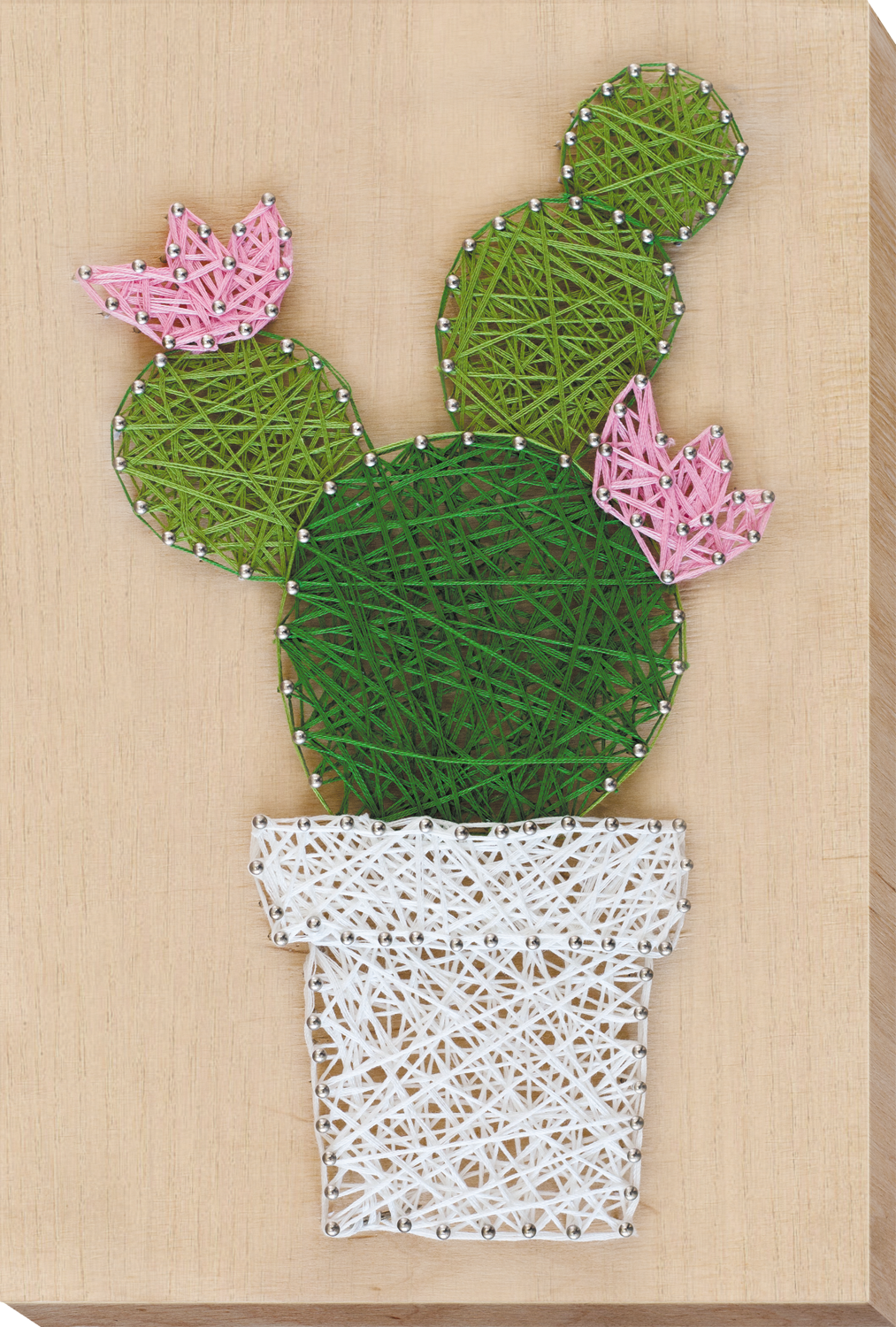 Cactus Creative String Art Kit by Abris Art ABC-002